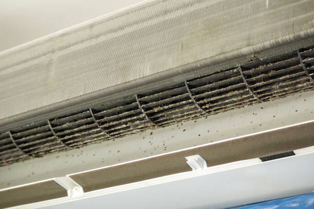 Best Affordable Duct Cleaning Services  in Ko Olina, HI